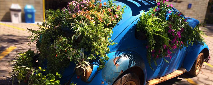 Lateral e traseira do Fusca azul com plantas e flores Lateral e traseira do Fusca azul com plantas e flores