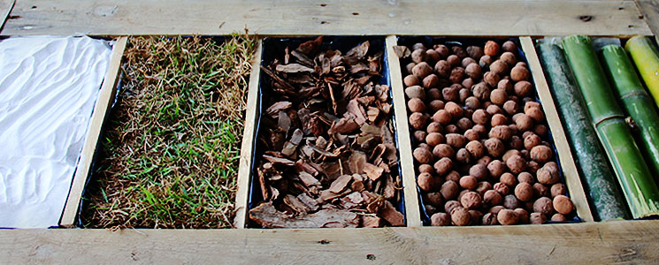 Bandeja sensorial com (da esquerda para direita) areia, grama, serragem, argila expandida e bambu. Bandeja sensorial com (da esquerda para direita) areia, grama, serragem, argila expandida e bambu.
