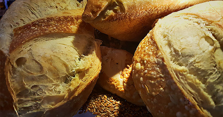 pães de alguns tipos pães de alguns tipos