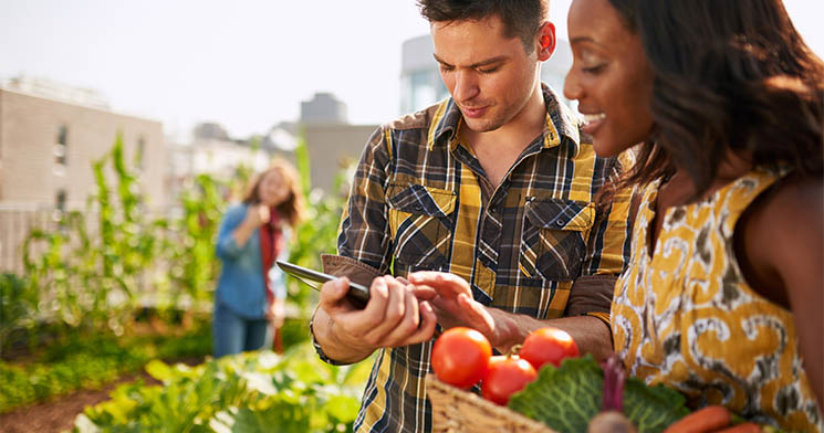 Casal em ambiente com verduras e legumes, como uma horta, com uma cesta de produtos nas mãos Casal em ambiente com verduras e legumes, como uma horta, com uma cesta de produtos nas mãos