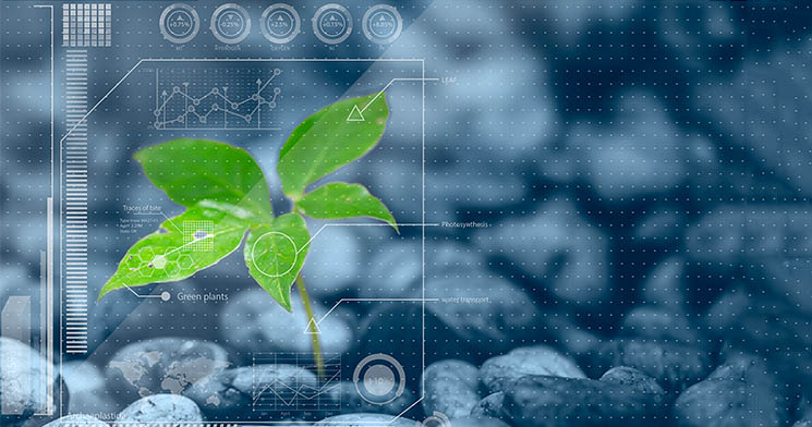 Imagem de planta verde com desenhos tecnológicos em tons de azul Imagem de planta verde com desenhos tecnológicos em tons de azul