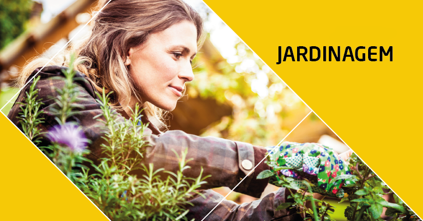 Curso de Jardinagem