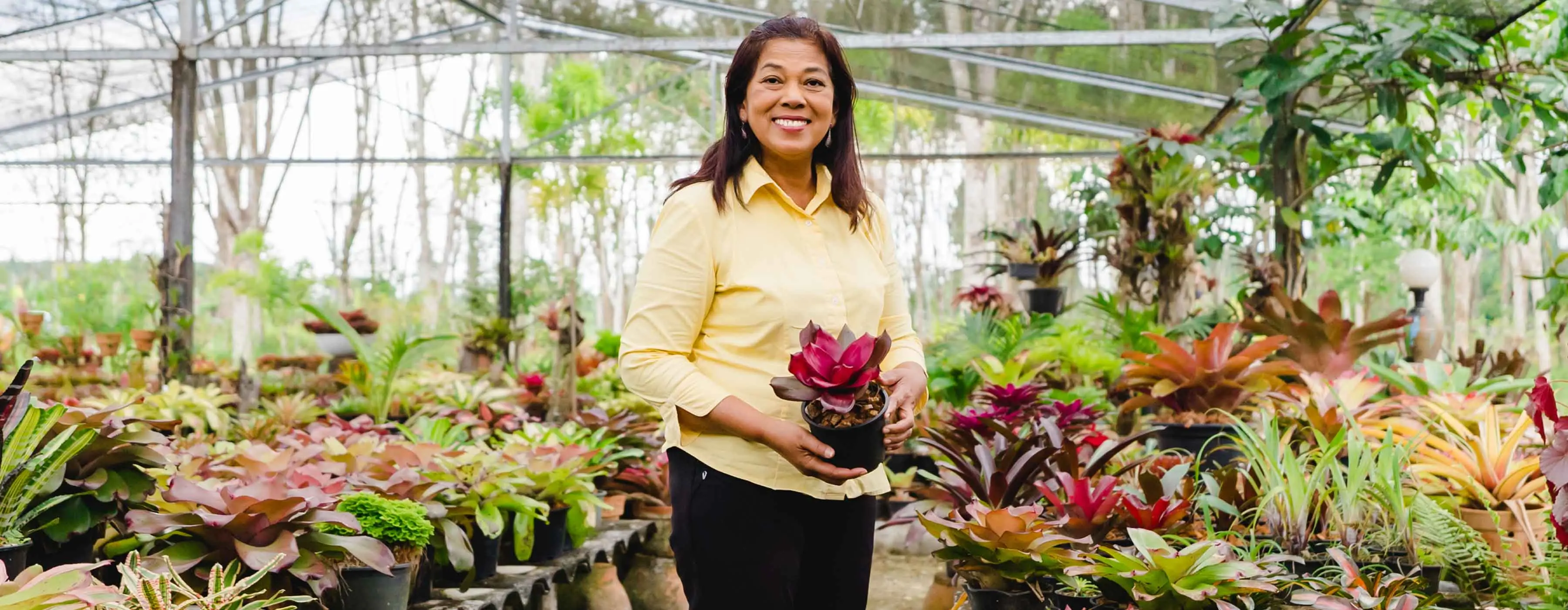 Jardinagem: orquídeas e bromélias - Mulher em uma grande estufa de plantas segurando um pequeno vaso.