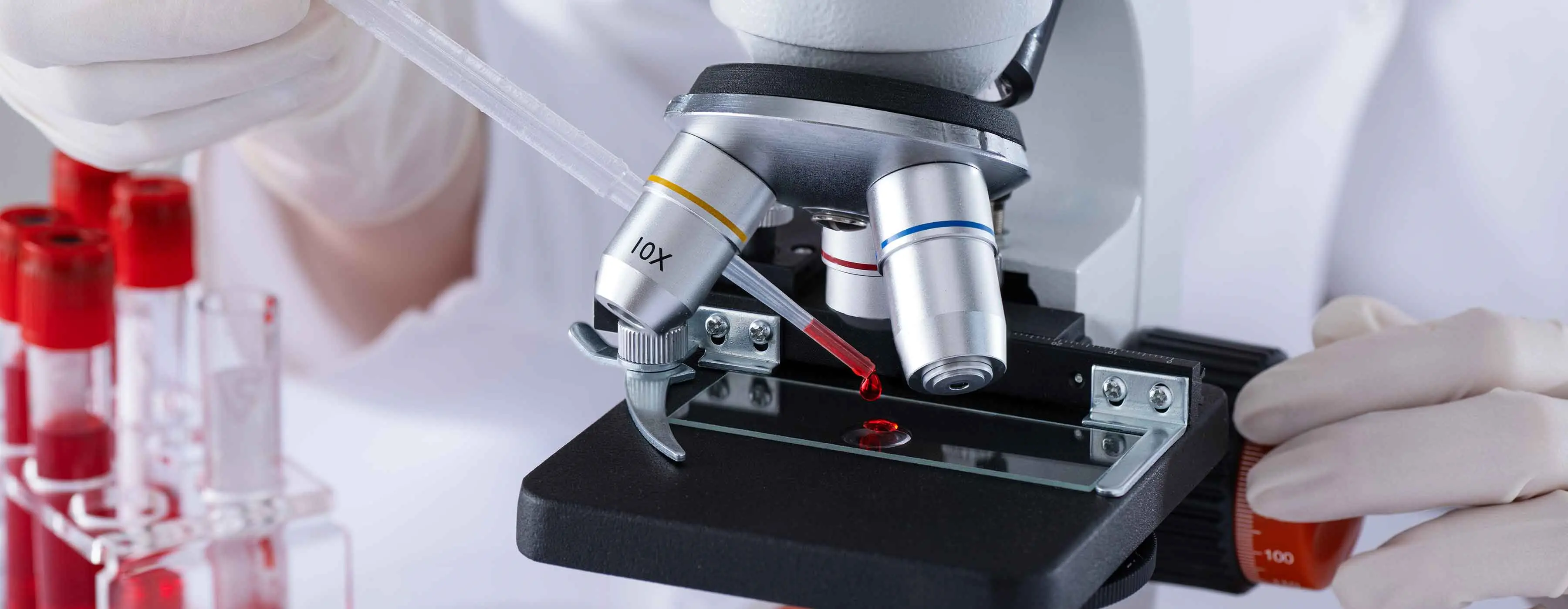 Morfologia Hematológica - -foto de um microscópio com amostra de sangue