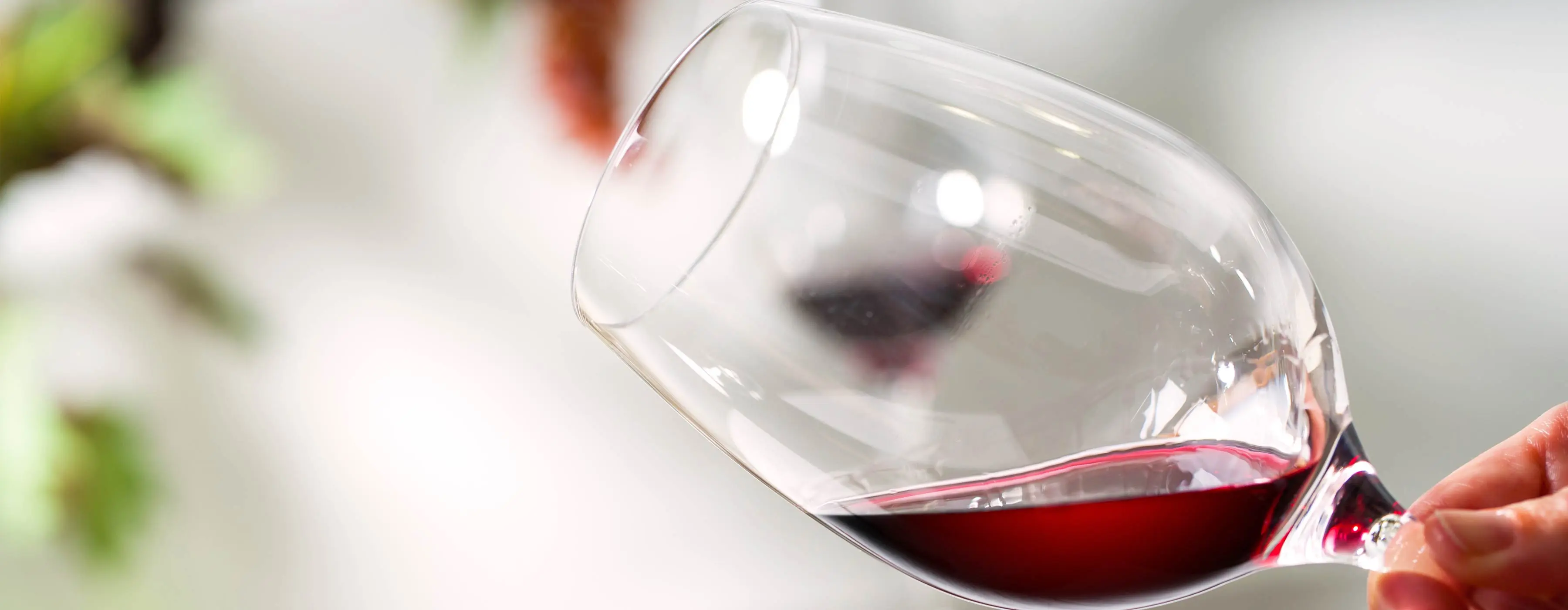 Foto close de uma mão segurando uma taça de vinho em uma sala.
