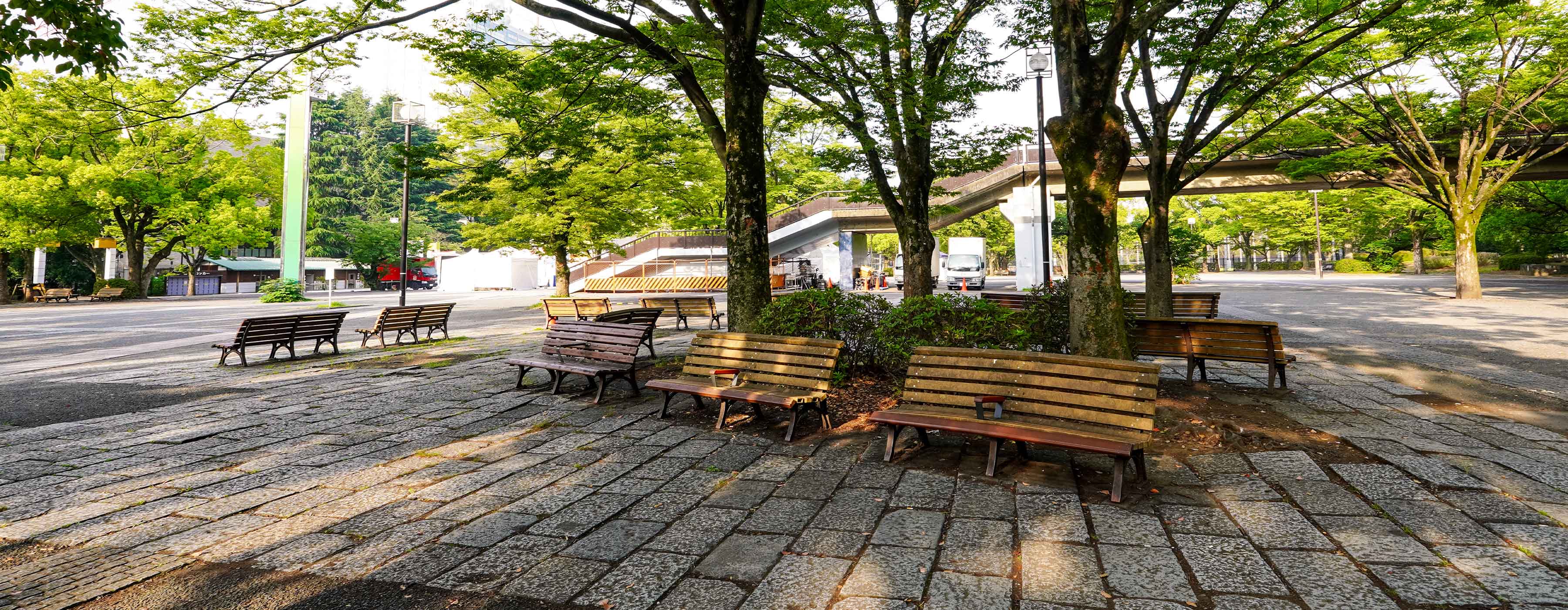 Foto de uma praça com árvores e bancos de madeira.