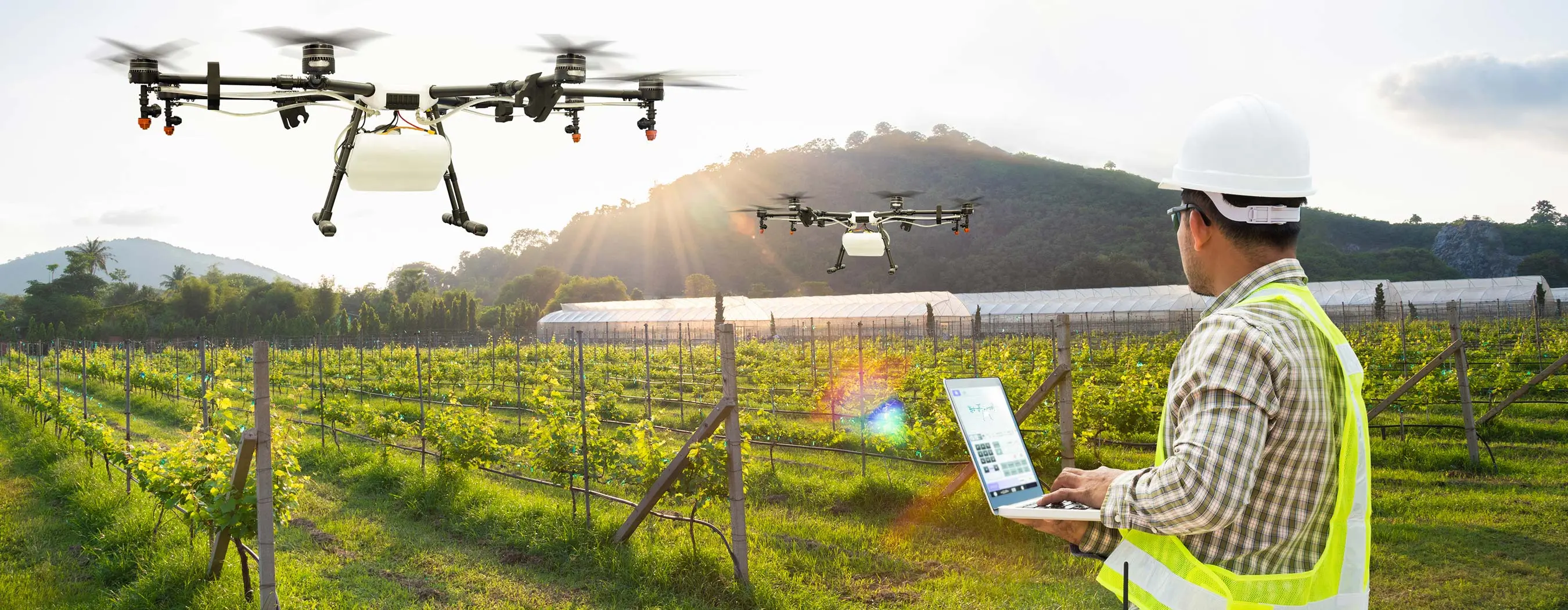 Foto de um homem com equipamento de segurança, em uma plantação com árvores e montanhas ao fundo, controlando drones que sobrevoam o local
