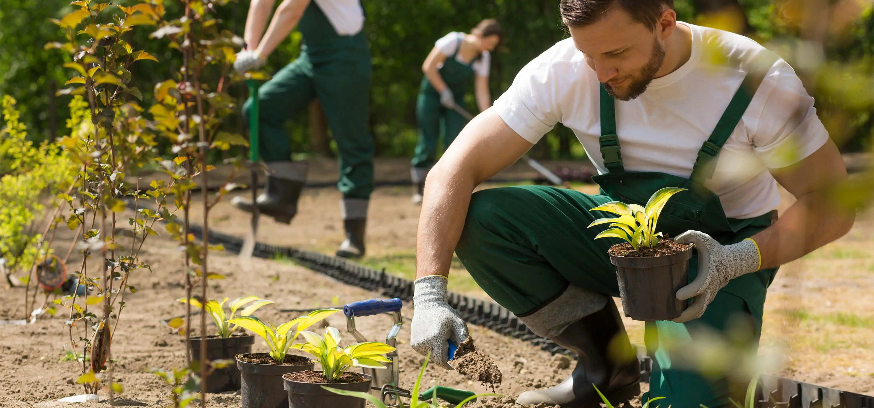 Foto de homem agachado perto a uma horta segurando pá com terra e um vaso de plantas