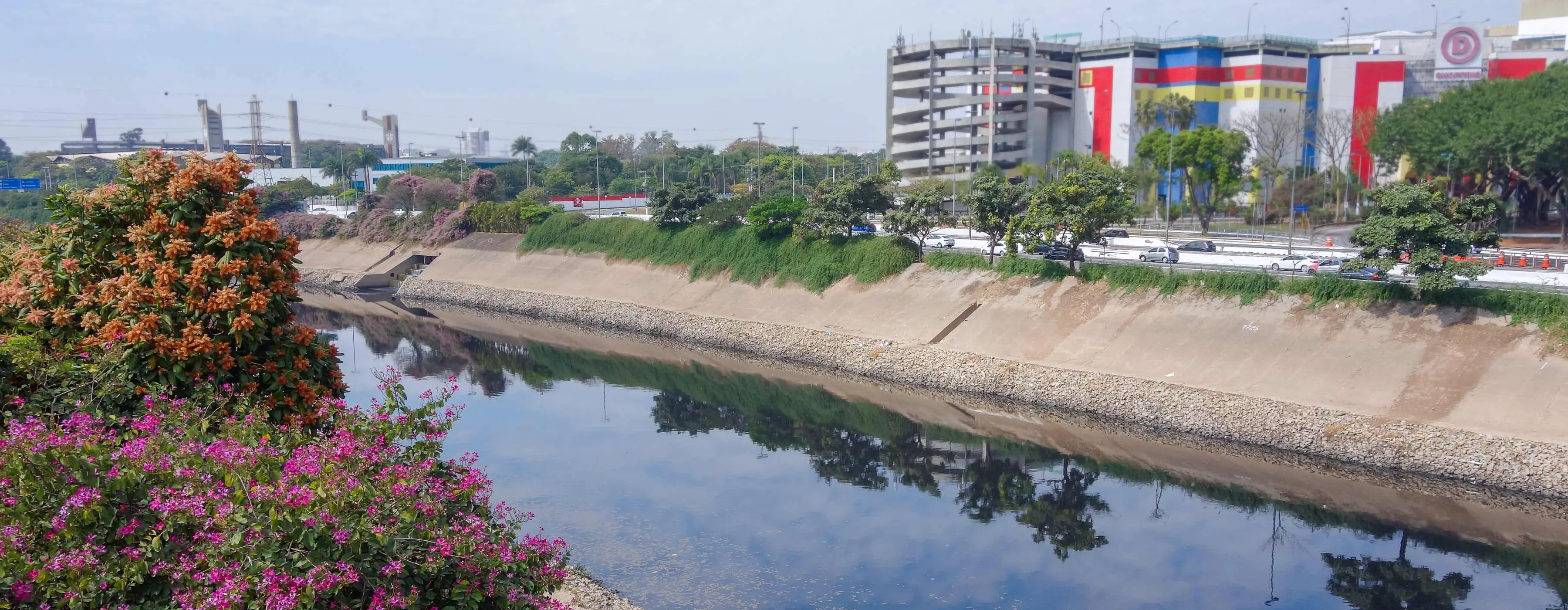 Foto focando a margem com árvores e o rio Tietê e ao fundo marginal Tietê com a entrada do shopping D na zona norte de São Paulo.