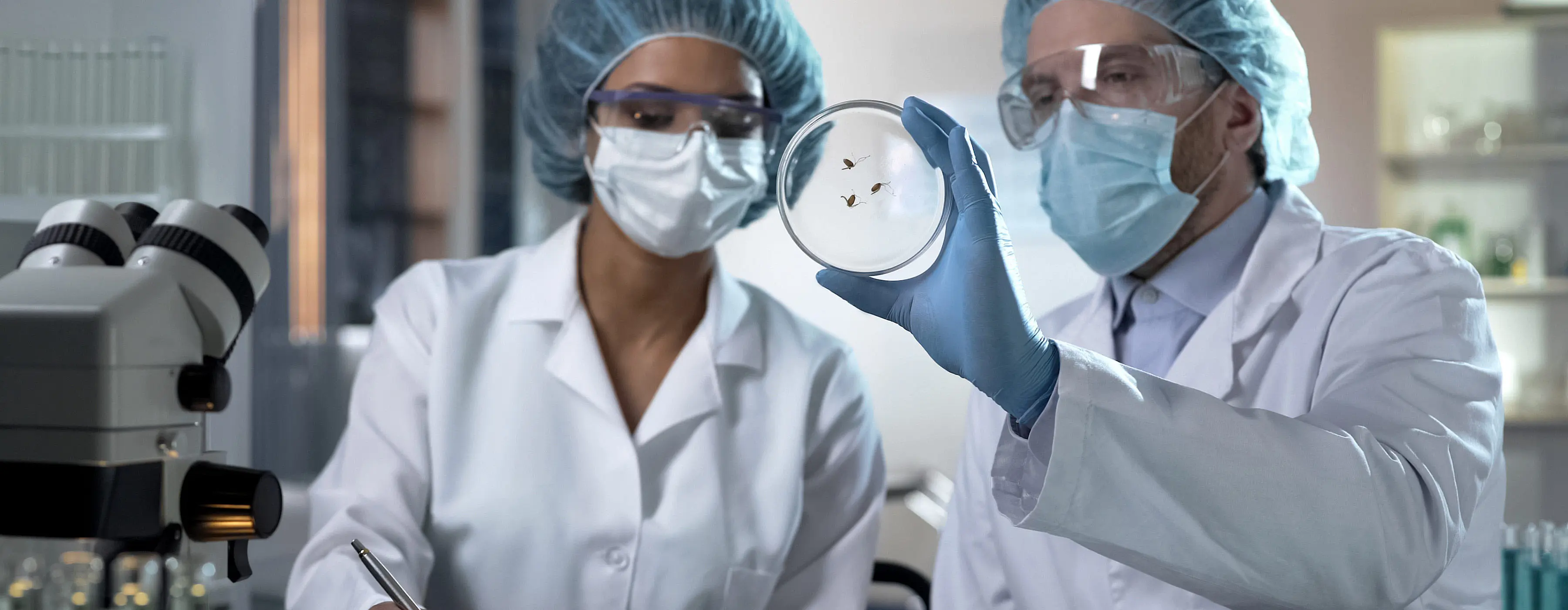 Foto de duas pessoas observando espécies de insetos em uma placa e fazendo testes no laboratório.