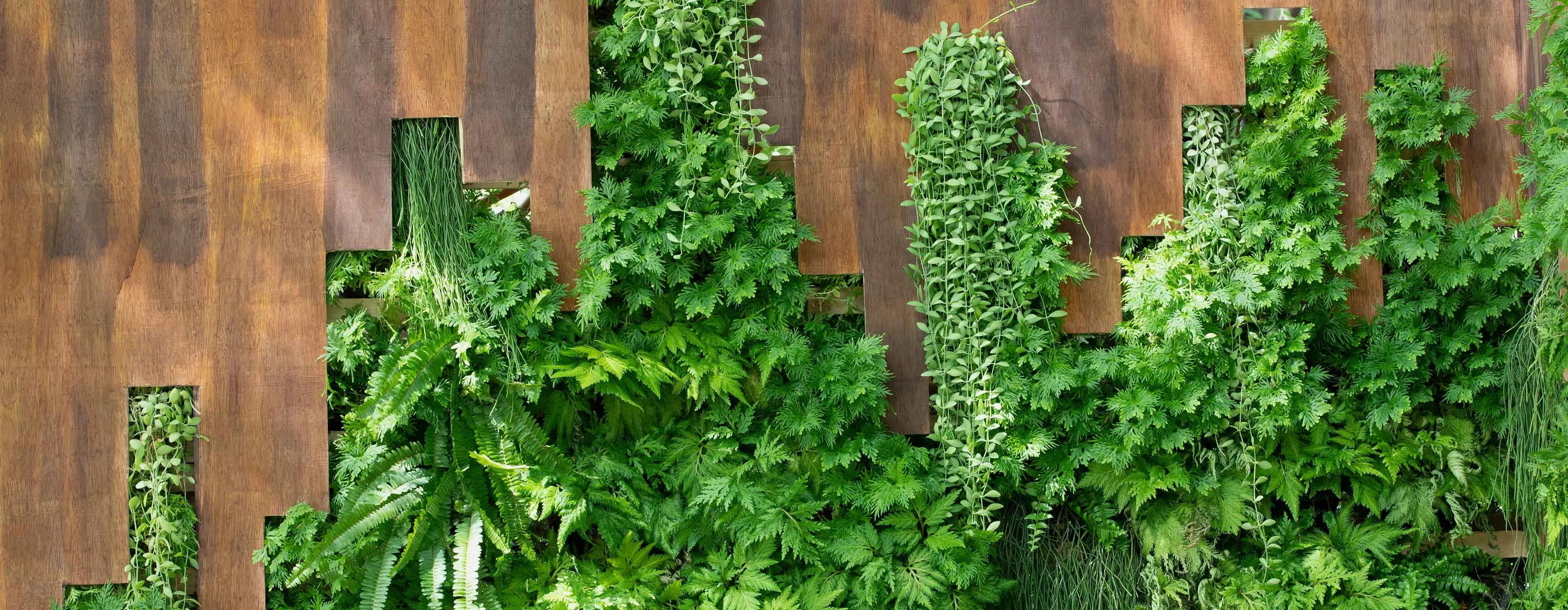 Imagem de um jardim vertical feito em uma parede