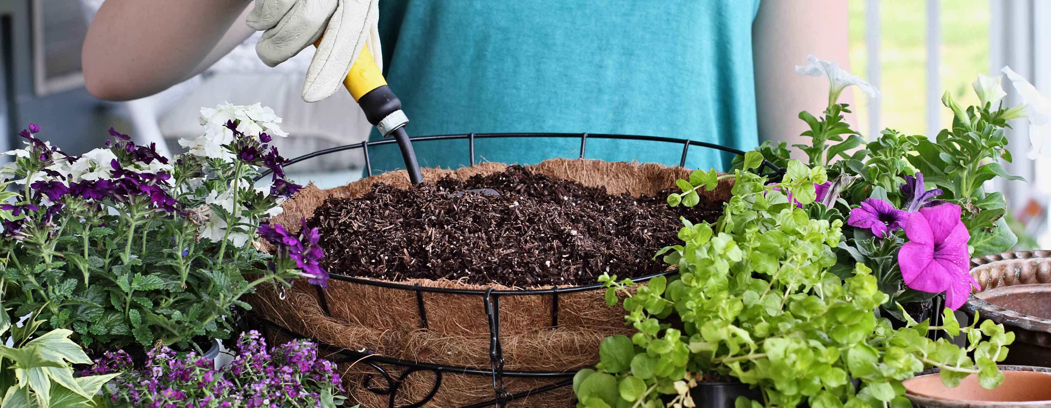 Jardinagem: técnicas decorativas - foto das mãos de uma pessoa com luva segurando um instrumento e mexendo na terra de um vaso com diferentes espécies da plantas ao redor.