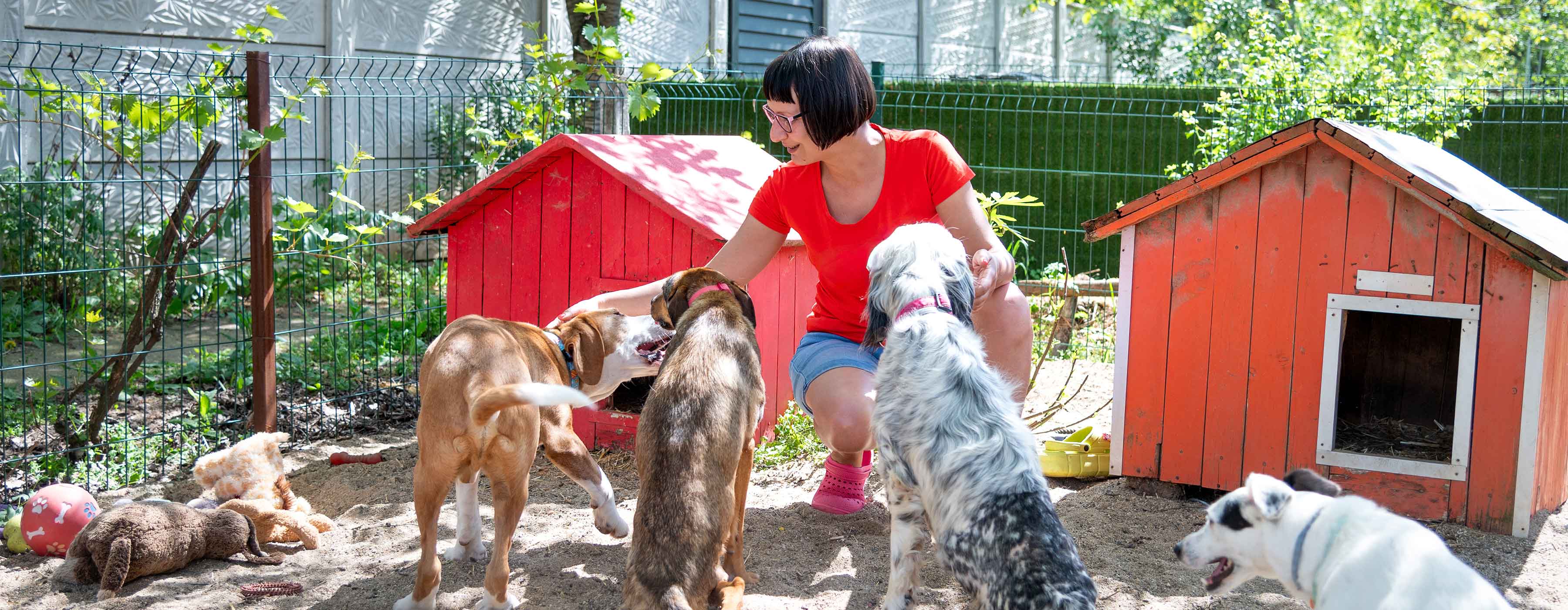 Como Gerenciar Creches e Hotéis para Cães - foto de mulher sorridente interagindo com quatro cachorros em área externa com casinhas de madeira e chão de areia.