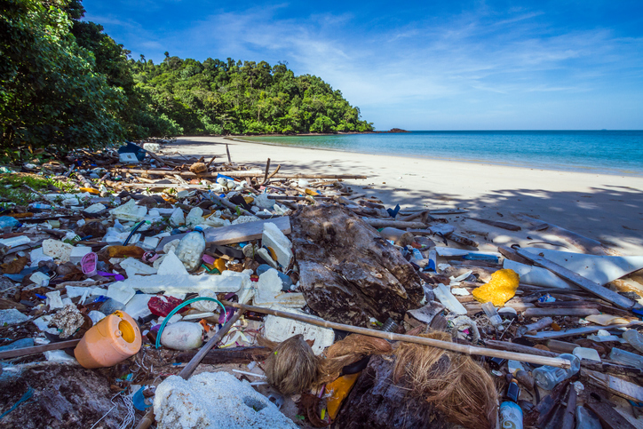 Plástico no Oceano: como eles vão parar lá e quais os impactos