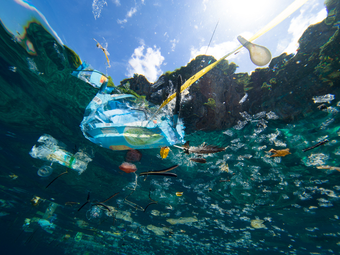 Plástico no Oceano: como eles vão parar lá e quais os impactos