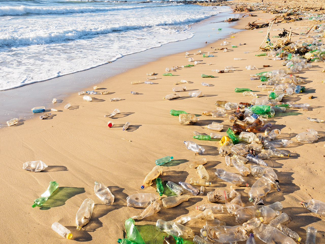 Plástico no Oceano: como eles vão parar lá e quais os impactos