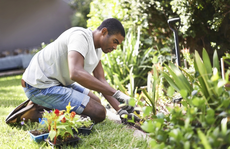 Curso de Jardineiro no Senac